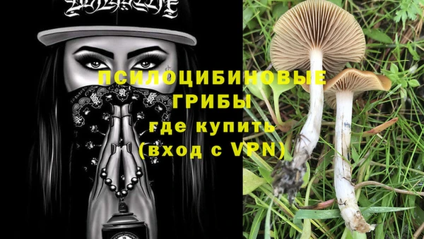 2c-b Бронницы