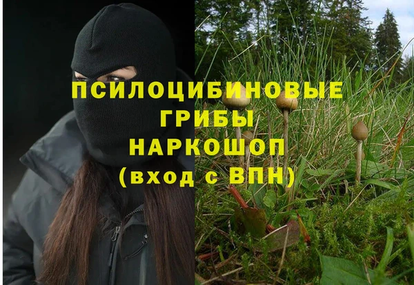 ALPHA-PVP Верхний Тагил