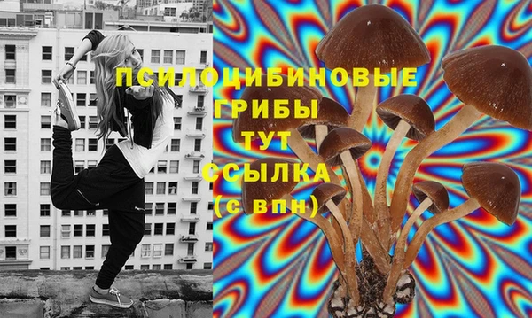 ПСИЛОЦИБИНОВЫЕ ГРИБЫ Верхнеуральск