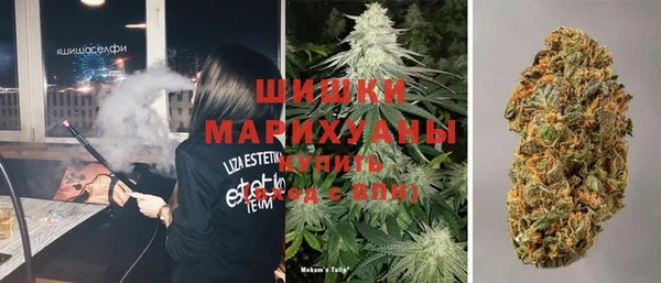 ПСИЛОЦИБИНОВЫЕ ГРИБЫ Верхнеуральск