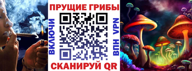 как найти закладки  Волоколамск  маркетплейс как зайти  Псилоцибиновые грибы GOLDEN TEACHER 