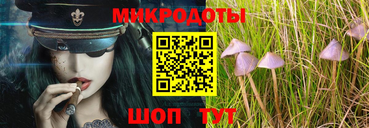 Волоколамск  Галлюциногенные грибы прущие грибы  Псилоцибиновые грибы Psilocybe  Вход с VPN 